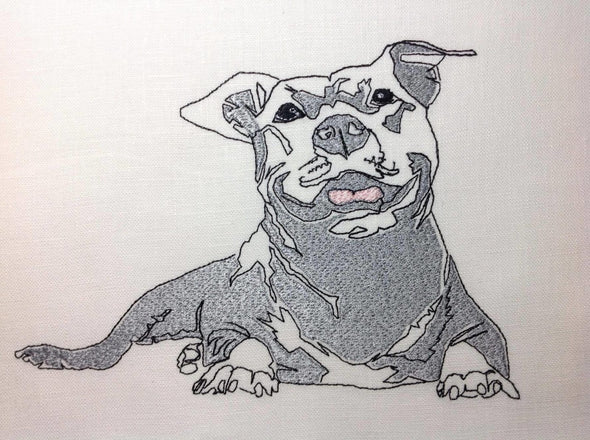 Pitbull Dog